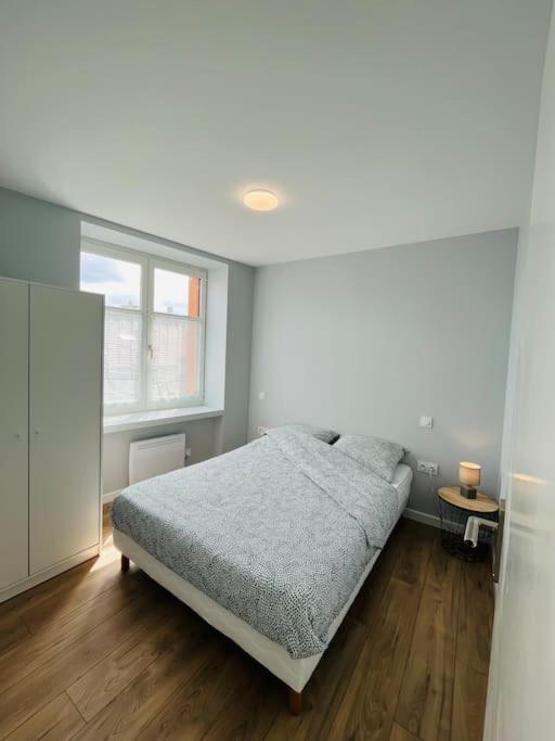 Joli T2 Centre-Ville, Calme Et Lumineux Cote Cour Сент-Этьен Экстерьер фото